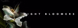 night_bloomers_02
